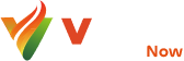 Vlearn Logo